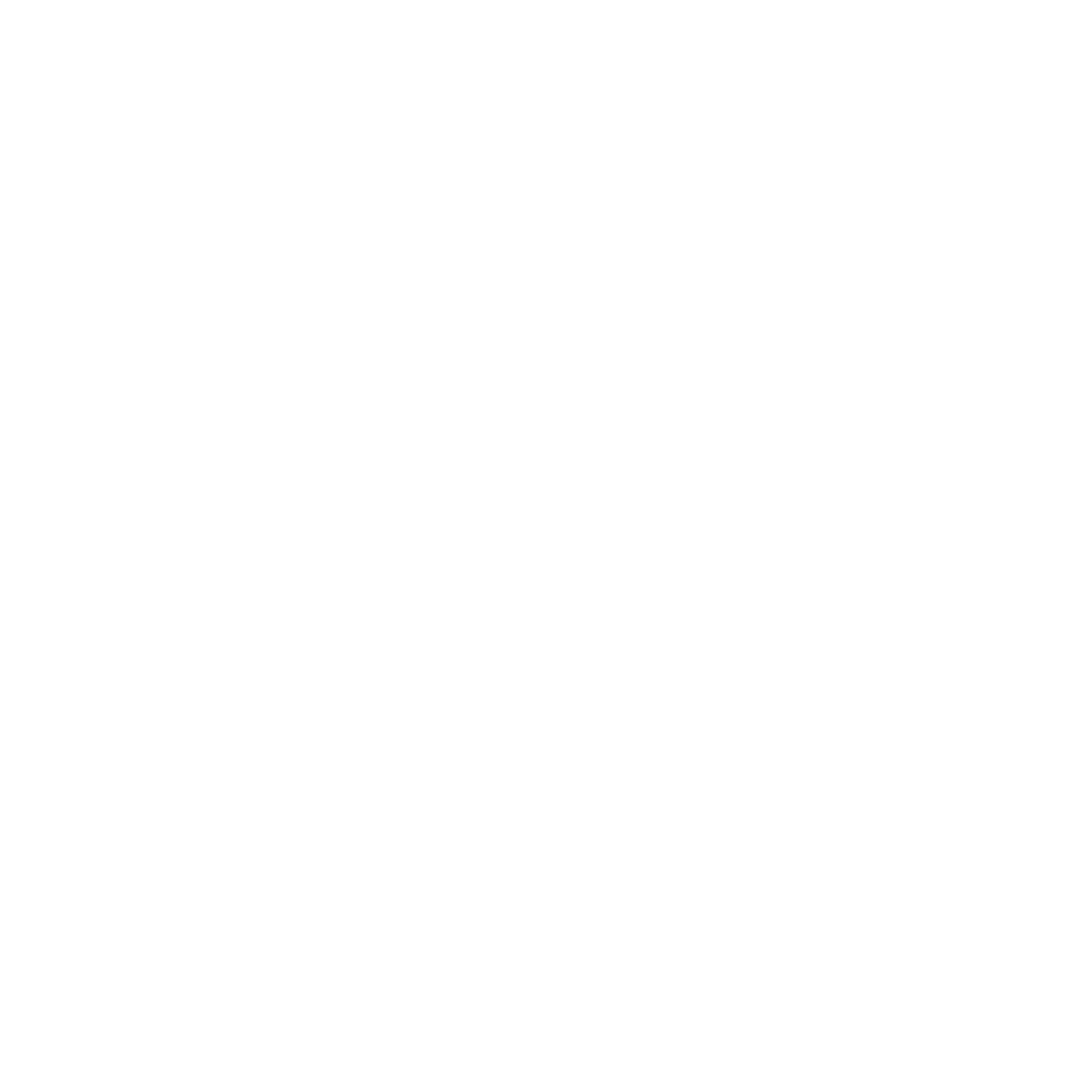 boehringer boehringer